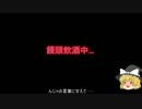 【ゆっくり実況】ガンオンやるのぜ！その6のぜの霊夢
