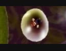 【マリオギャラクシー】銀河、星船、超美人！【縛り実況】Part11