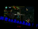 【MHP3】今更ながら姉弟でゆっくり実況プレイ【前編】