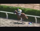 3歳上500万（牝）_ハヤブサペコチャン