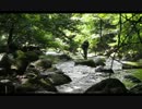 夏の渓流