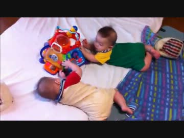 五ヶ月半の双子がこっちを見るよ