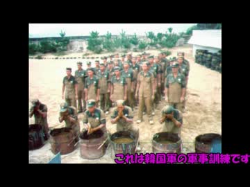【レイシストを】韓国人、アメリカでしばかれる【しばき隊】　改良版