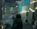 PC版　初心者過ぎるBO2 その4