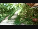 二上山登山とセミの声20130816