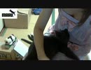 まるオナラ