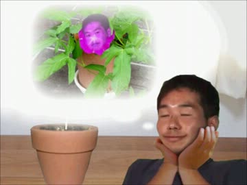 観葉植物と化した先輩