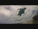 ☁空飛ぶペンギン☁