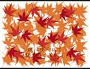 紅葉【唄音ウタ】