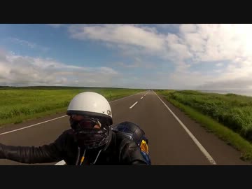 2013 ス「プリン」ガーの夏 3