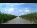 【さとうきび畑】鎮魂歌 Classical Guitar Solo.mp4