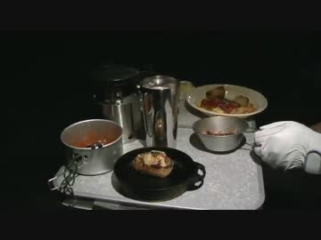 【メタボ】柴山自然公園【キャンプ】