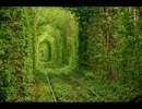 なんとなく癒されそうな曲集作ってみた