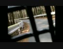 静岡県道295号を走ってみたその10【暫定版】