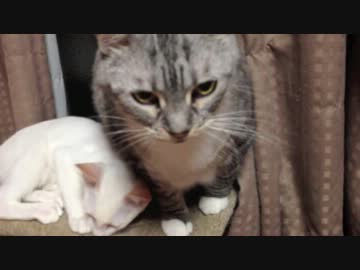 なかよし姉弟