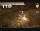 【新生FF14】ハイランダー♀戦闘ボイス