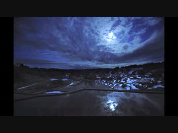 track提供2