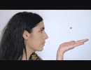 Mariam the Believer - The String of Everything