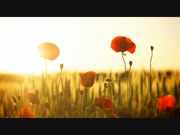 「ピエロ」-piano ver.-　歌ってみた