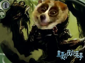 レギュレーションレイプ！　ＭＴＧ厨と化した先輩！　第二十章.ZOO