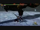 【MH3GHD】凍土に満ちる狂気 ランスソロ 11:11 討伐