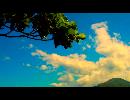 sunndy day