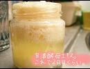 甘酒酵母でバゲット作ってみた