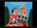 markus nikolai - bushes (norman cook rmx)