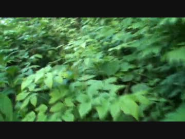 実況肝試しをしよう！ 番外編　青森県 田代元湯編 2/4