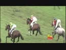 3歳未勝利_ダノンシンフォニー