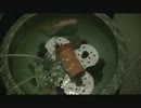 【アトリエもぐ】よく泳ぐウーパールーパー コアちゃん