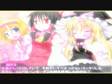 魔理沙とアリスのNNRT☆.mp4