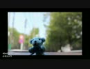 「少年カメラ」 歌ってみた 【にらレバ】