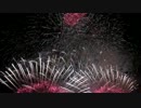 2013年常総きぬ川花火大会　スターマイン「情熱　花火」　青木煙火