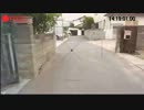 白バイ追尾車載カメラ【風】動画