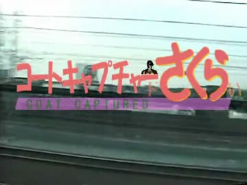 コートキャプチャーﾄﾞさくらぃ