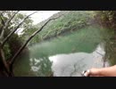 釣りに行ってきた