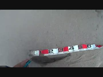 【PEライン】マゴチを釣りに行って色々疲れたけど【良し悪し】