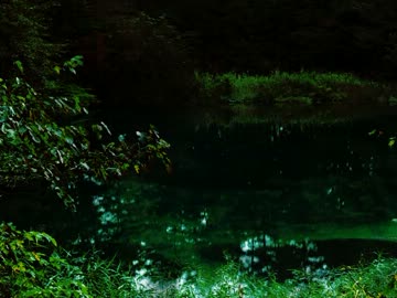 仄暗き沼と、人魚の悪事に恐怖する。『人魚沼』実況プレイ(10・終)