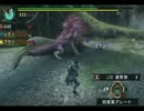 好きな武器が使えないモンスターハンターポータブル3rd実況！Part5