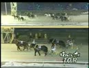 2013年2月3日帯広競馬10R 柏林馬事公苑特別(OP) ホリセンショウ
