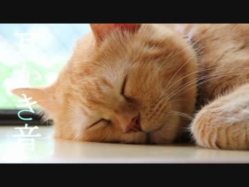 綿棒で耳かきっぽい音＋オイルで耳マッサージする音