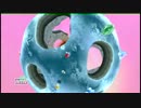 スーパーマリオギャラクシー2 なんとなく実況したよ！ part11