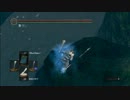 [DARK SOULS]【小ネタ】黒い森の庭の孤独な場所