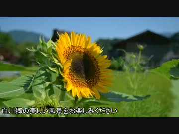 勢い余ってライダーになってみた-下呂温泉ツーリング前編-