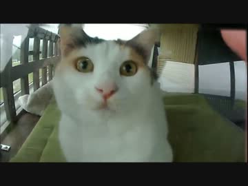 【のら】2013年夏 鉄ヲタが行く北海道ツーリング その8 ～ 道北散歩編 ～