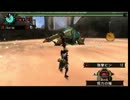 【MHP3】YAIBA・風神と雷神　非火事弓 5'15"33【TS抜き】