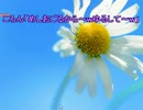 みるちぃ_20130903_Tue_ころんに激怒