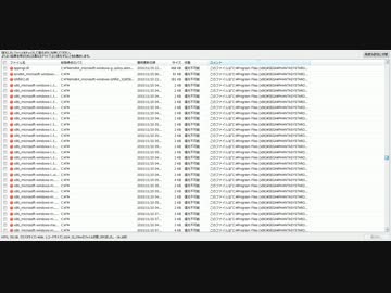 PSO2 消されたファイルが何かわからなくてすごい怖い