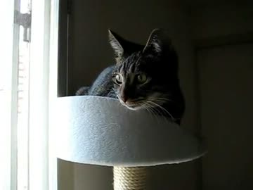 こまちとキャッチボール。